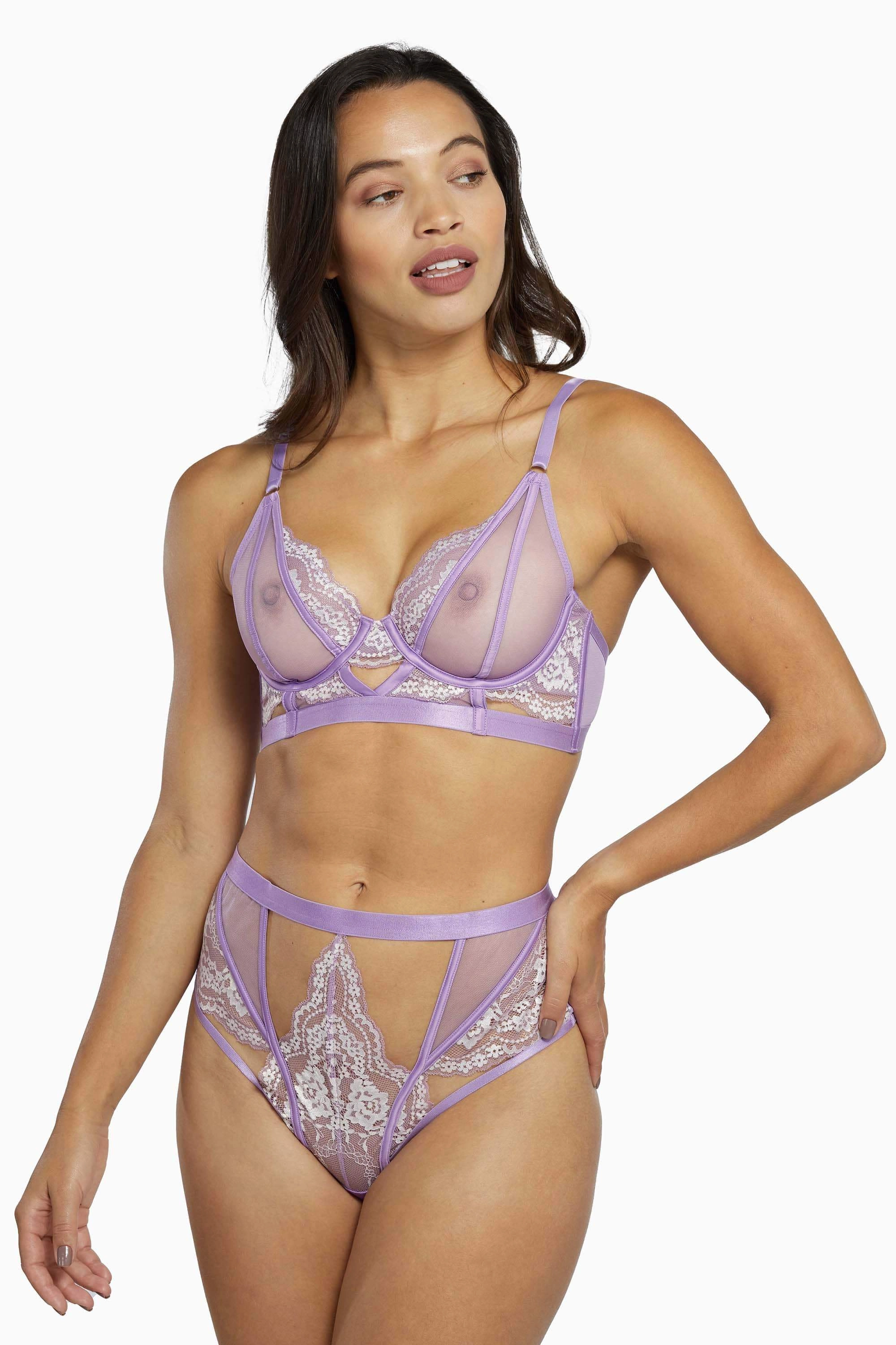 Fenella Lace and Net High Waist Brief Core