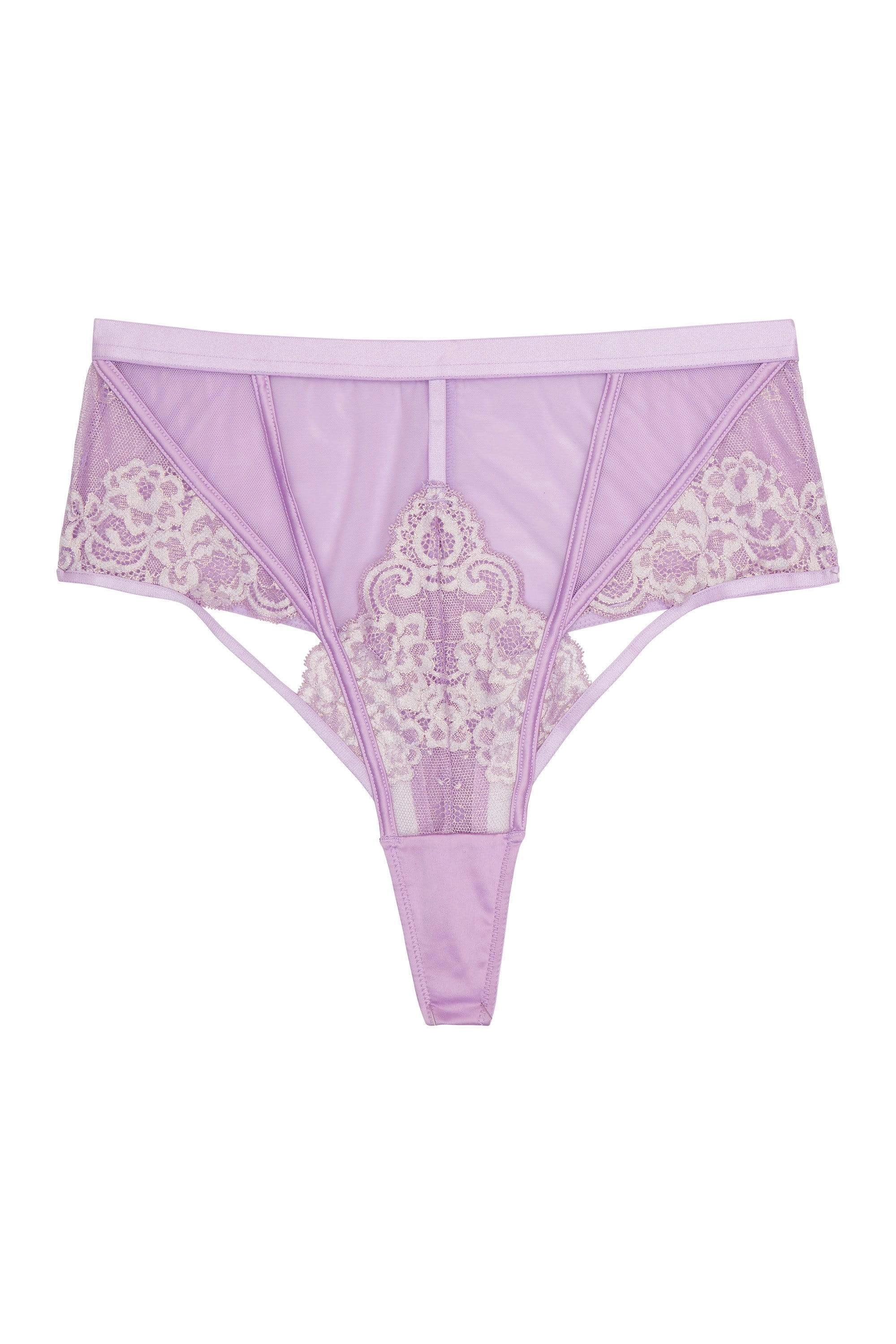 Fenella Lace and Net High Waist Brief Core
