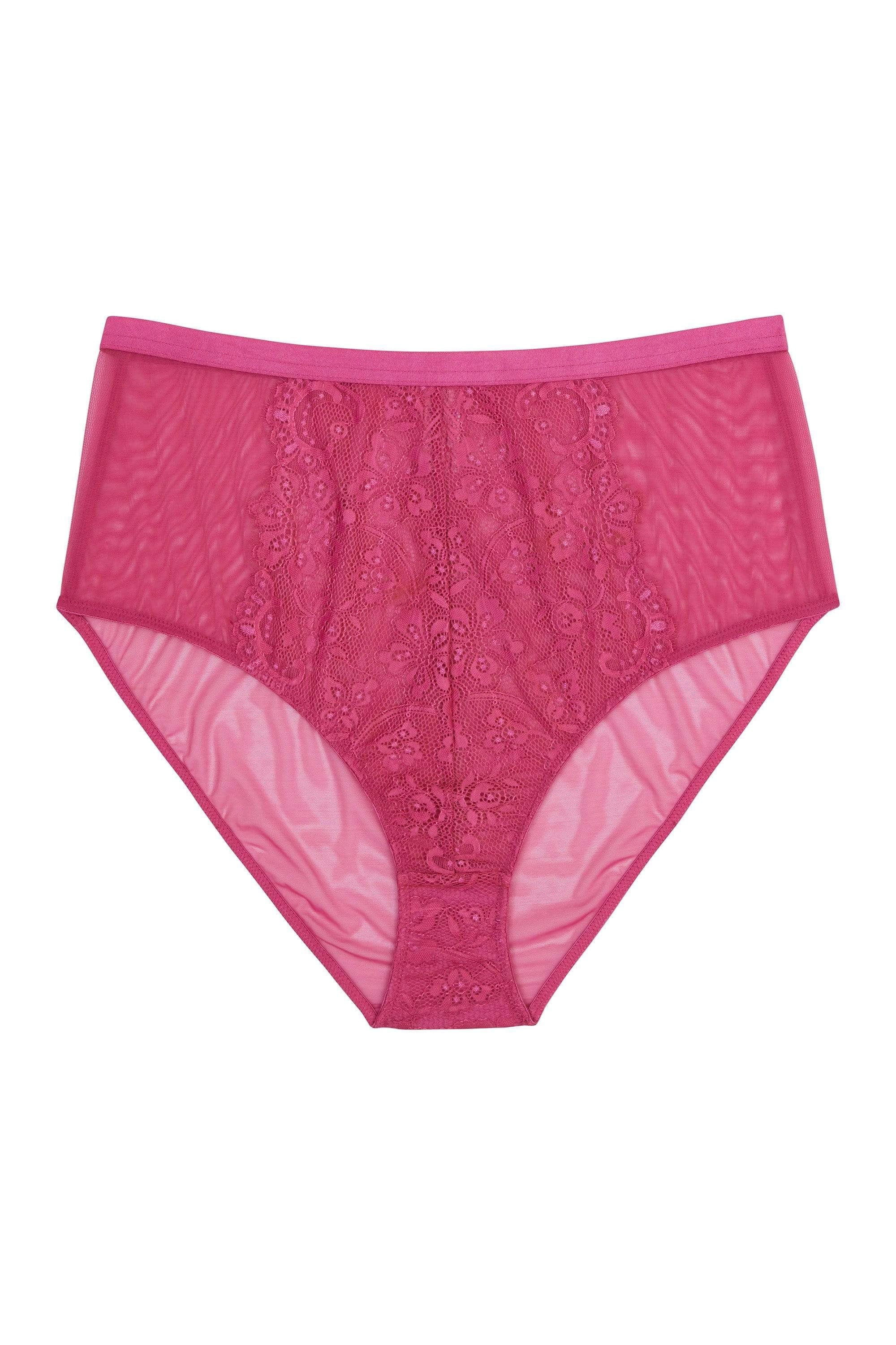 Gabi Fresh Bella Lace High Waist Brief Pink