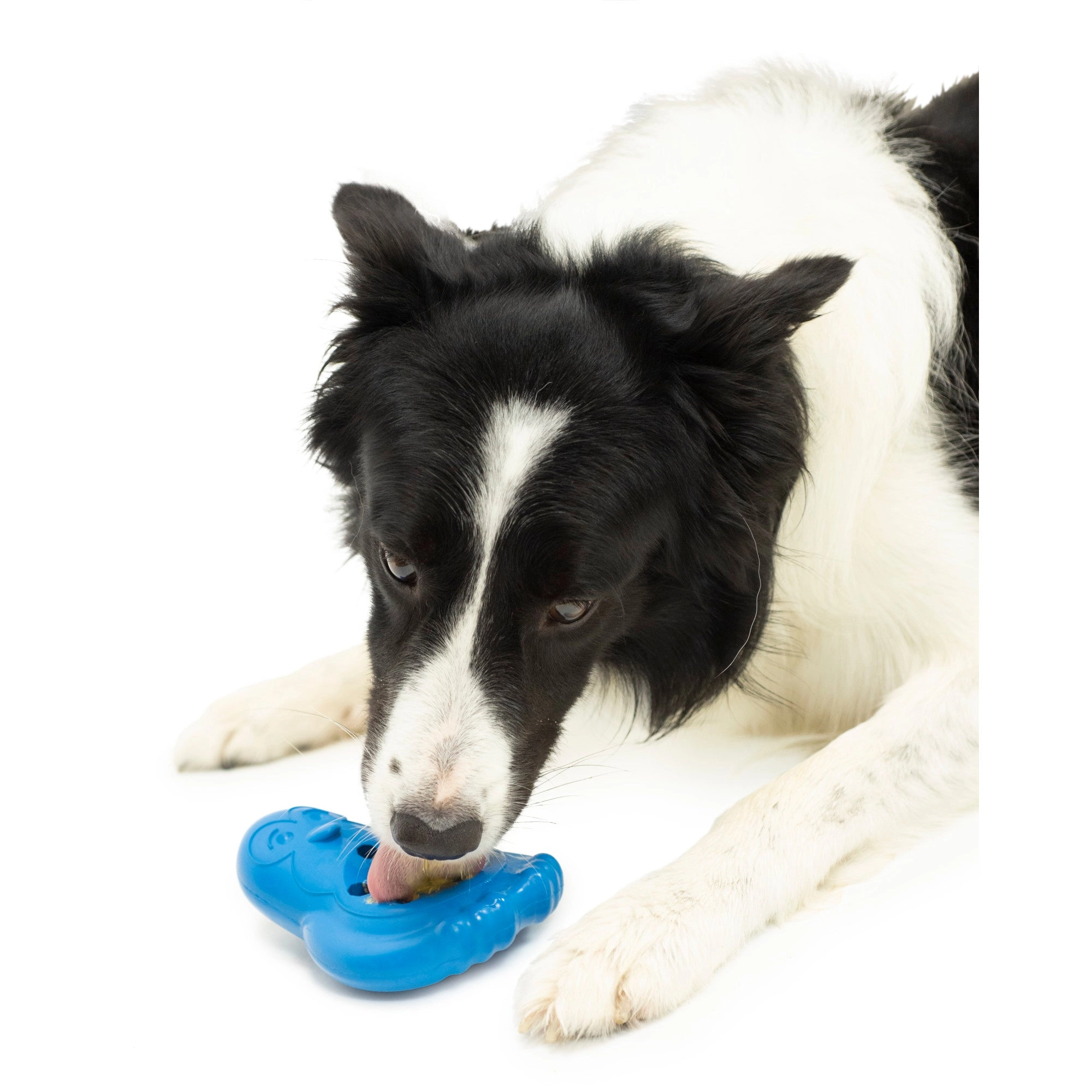 PetSafe® Freezable Treat Holding Chilly Penguin Dog Toy